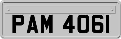 PAM4061