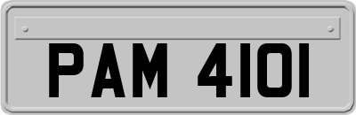 PAM4101