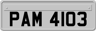 PAM4103