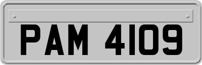 PAM4109