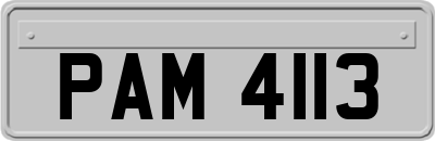 PAM4113