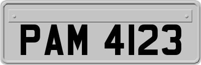 PAM4123