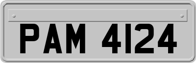 PAM4124