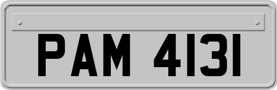 PAM4131