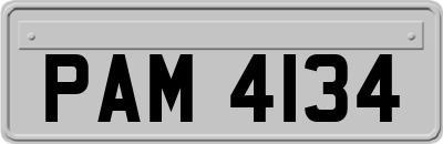 PAM4134