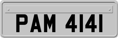 PAM4141
