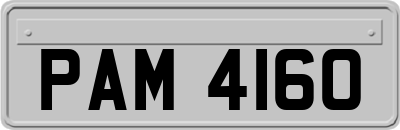 PAM4160
