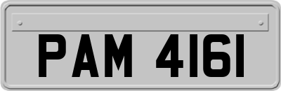 PAM4161