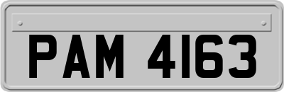 PAM4163