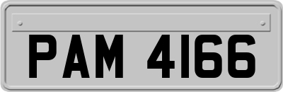 PAM4166