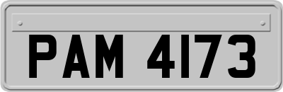 PAM4173
