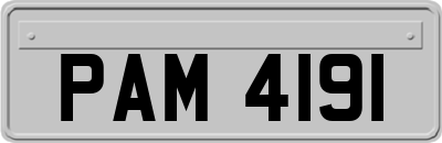 PAM4191