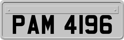 PAM4196