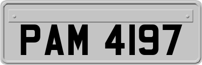 PAM4197