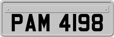 PAM4198