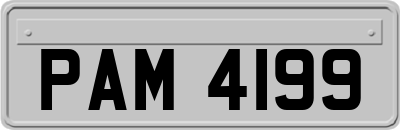 PAM4199
