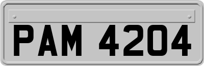 PAM4204