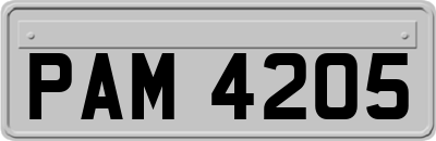 PAM4205