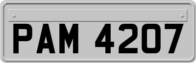 PAM4207