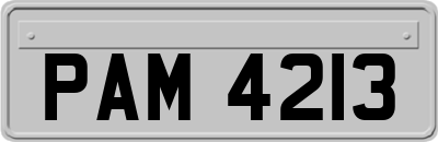 PAM4213