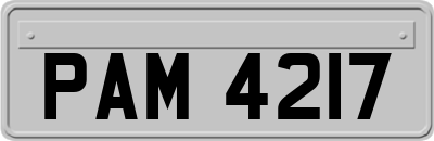 PAM4217