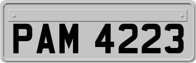 PAM4223
