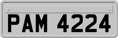 PAM4224