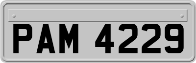 PAM4229