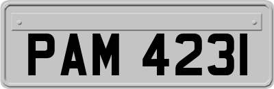 PAM4231