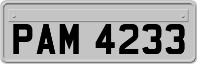 PAM4233