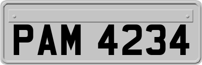 PAM4234