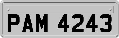 PAM4243