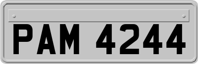 PAM4244