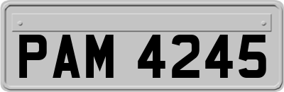 PAM4245