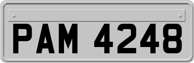 PAM4248