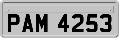 PAM4253