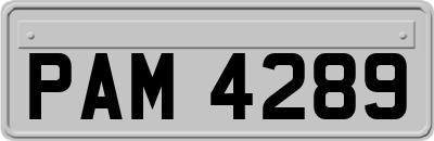 PAM4289