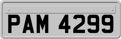 PAM4299