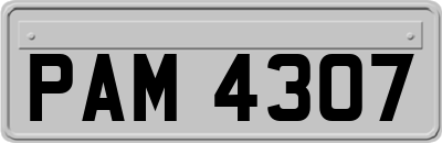 PAM4307