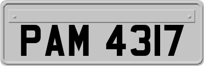 PAM4317