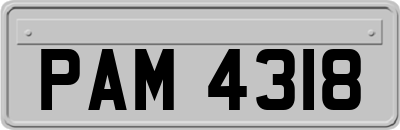 PAM4318
