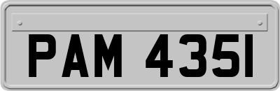 PAM4351