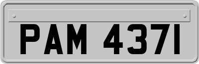 PAM4371