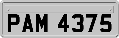 PAM4375