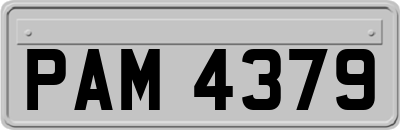 PAM4379