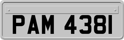 PAM4381