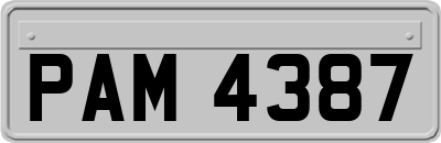 PAM4387