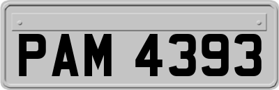 PAM4393