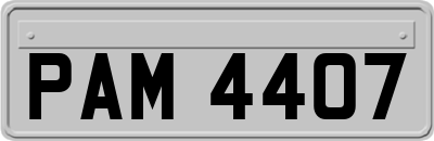 PAM4407