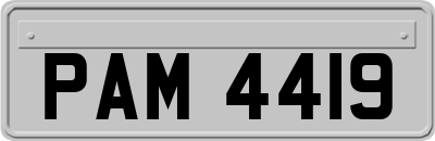 PAM4419